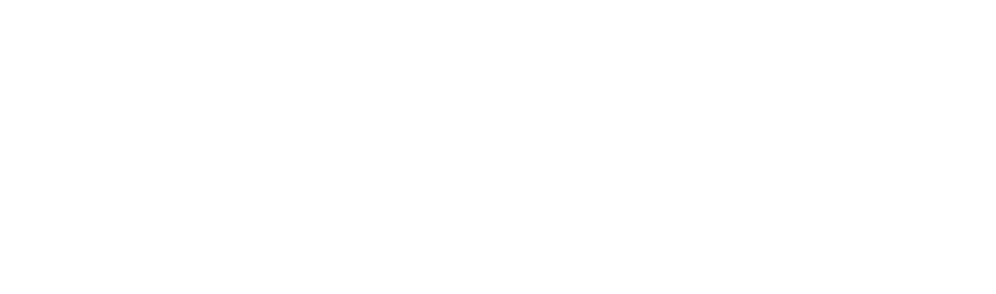 Partner 6