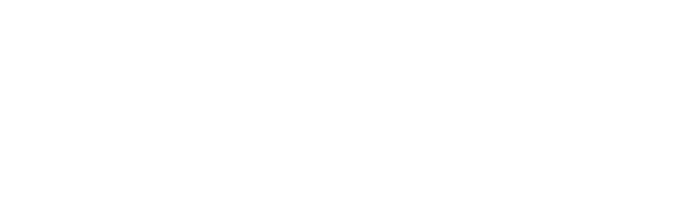 Partner 6
